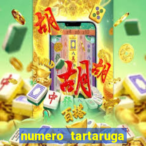 numero tartaruga jogo do bicho